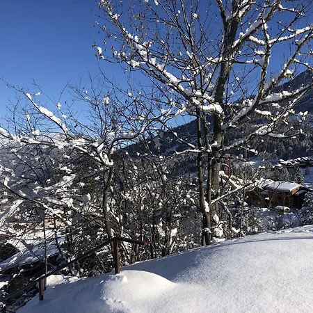 Apartment Prariond - Prariond 3 - Divisible 4 Personnes, Hameau Du Mottet Mae-0323 Valmorel
